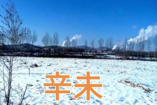 辛未年生女结婚吉日 辛未年生人是什么命？