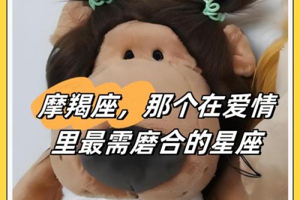 哪个星座能进入摩羯座内心的感觉