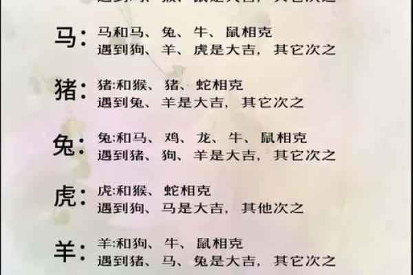 72年属什么生肖配对