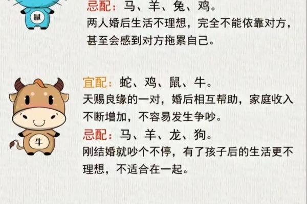 72年属什么生肖配对