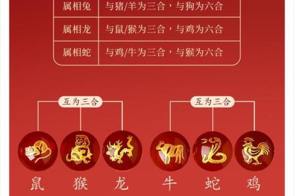 属牛和属蛇的相合配对指数
