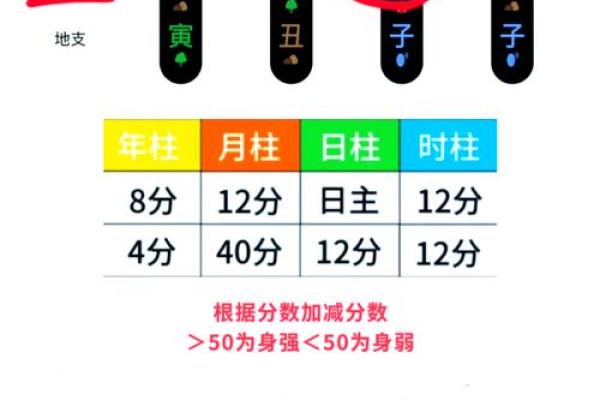 振痿汤配方,生辰八字五行喜用神