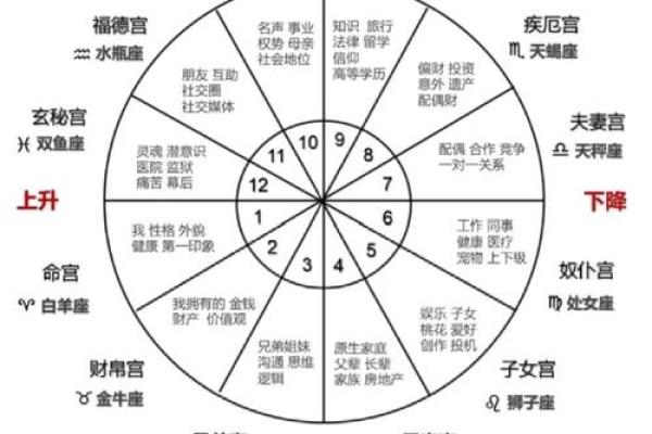 如何查看自己的星盘 个人星盘查询方法