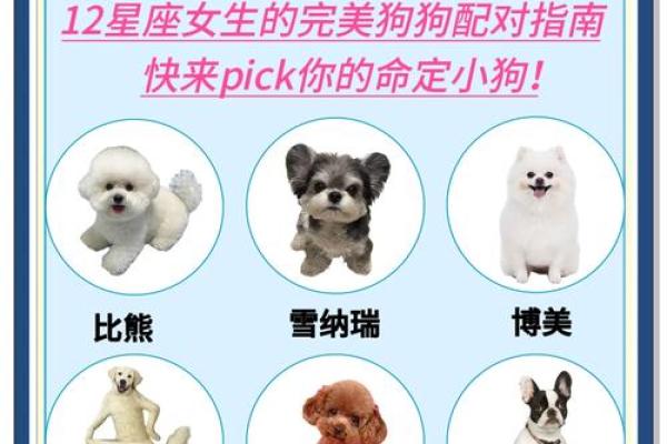 狗年运势旺到爆的星座