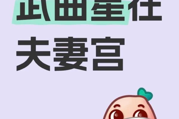 紫微斗数之夫妻宫与诸星,武曲星在夫妻宫是什么意思? 紫微斗数之夫妻宫与诸星,武曲星在夫妻宫是什么意思?