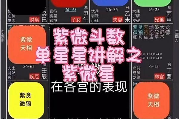 紫微斗数丨紫微斗数基础知识篇