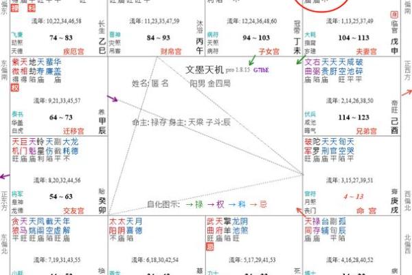 紫薇斗数命宫天月