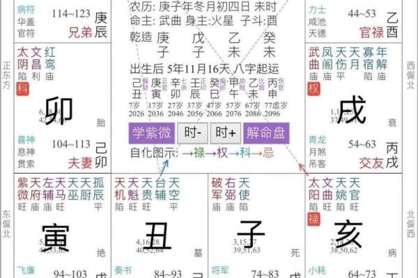 紫薇斗数排第几