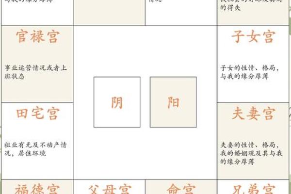 紫微斗数之迁移宫与诸星，太阴星在迁移宫是什么意思？
