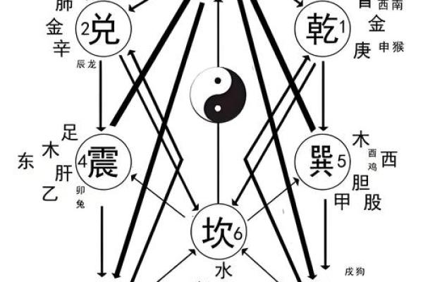 风水学中的三纲五常指的是什么