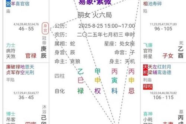 紫薇斗数事业宫详解