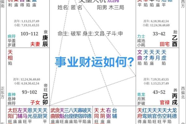 紫薇斗数事业详细解释