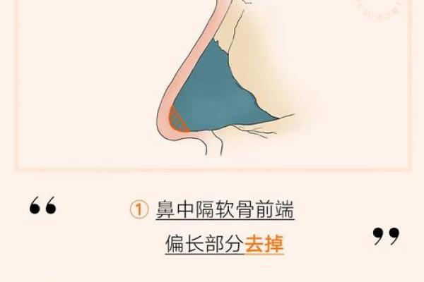 面相风水鹰钩鼻女人的好处和缺点