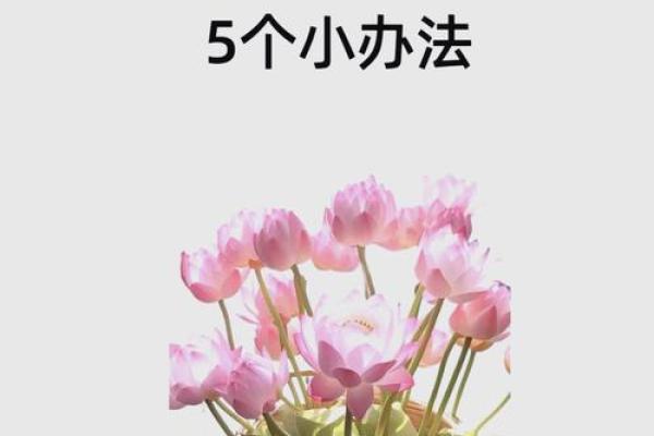 2024年旺财运的最佳方法 家中风水摆放指南