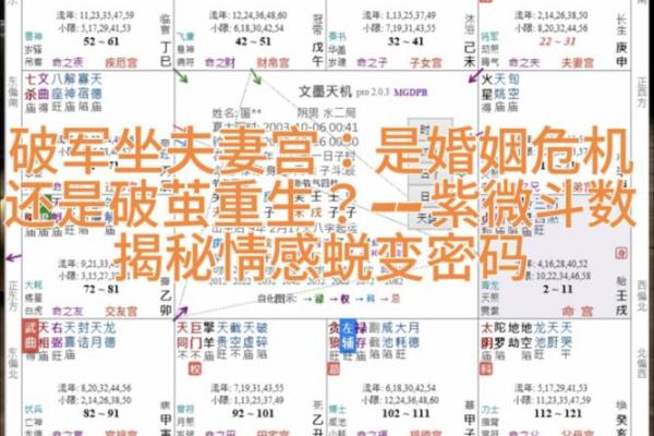 紫薇斗数看你结婚