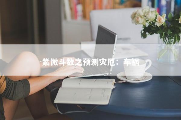 紫微斗数之预测灾厄:车祸 紫微斗数之预测灾厄:车祸