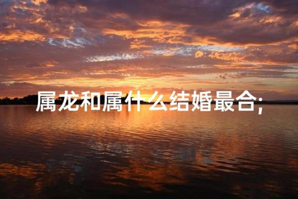 龙的生肖配对什么生肖最好