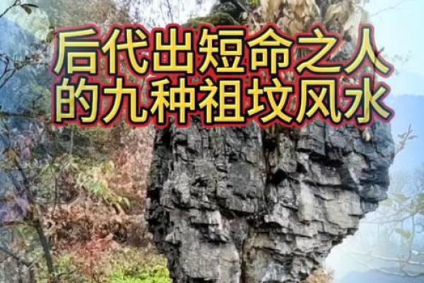 风水故事资讯；偷窃他人好风水