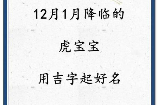 2025年廿四日辰时出生的虎宝宝八字取名推荐