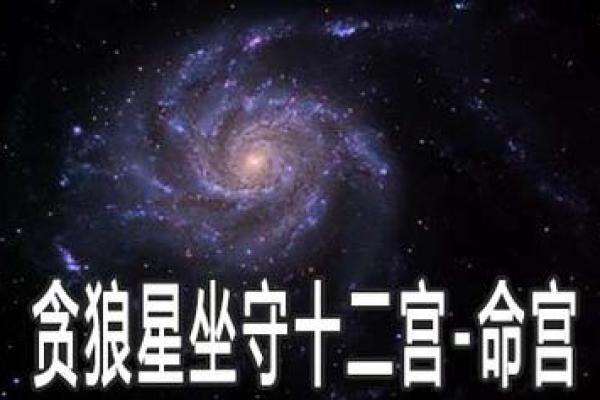 紫微斗数诸星落诸宫之:贪狼星父母宫详解 紫微斗数诸星落诸宫之:贪狼星父母宫详解