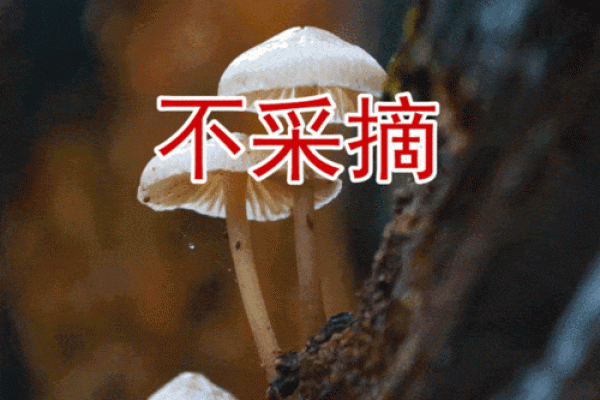 【神准测试】赶走霉运！最近你需要小心提防的是什么？