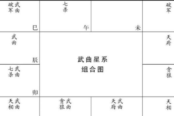 紫微斗数疾厄宫武曲化权