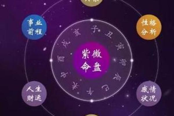 紫微斗数杀破狼 紫微斗数？