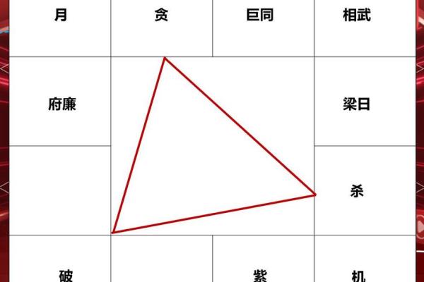 紫微斗数杀破狼 紫微斗数？