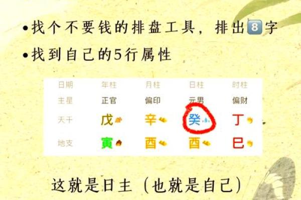 少年身强八字旺，命运远大前程显！