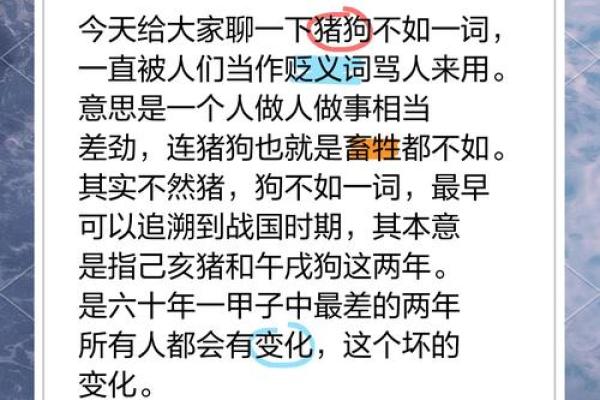 算命的说狗和猪好不好