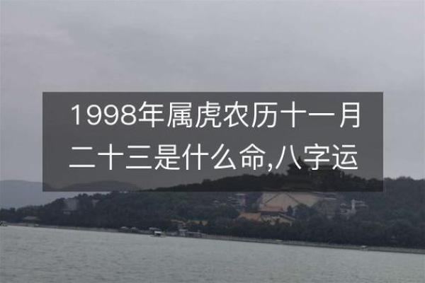 属虎哪个星座运势更好