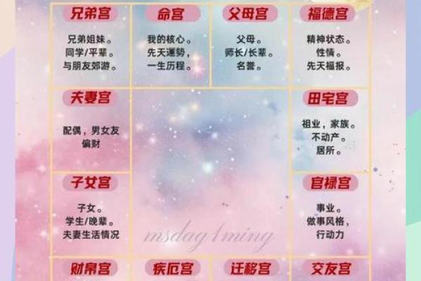 紫薇斗数看什么样的男女会结婚