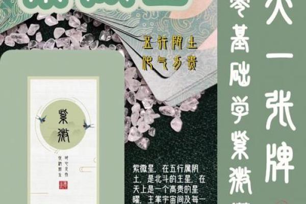 紫微命盘看嫁给一个富裕的家庭和那些紫薇生活盘有一个高贵的丈夫