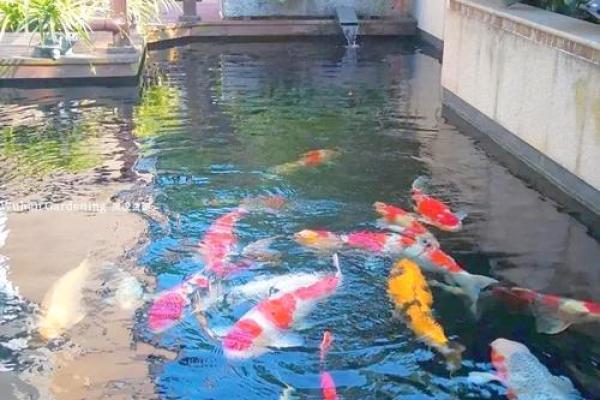商业风水：公司水池的设计风水