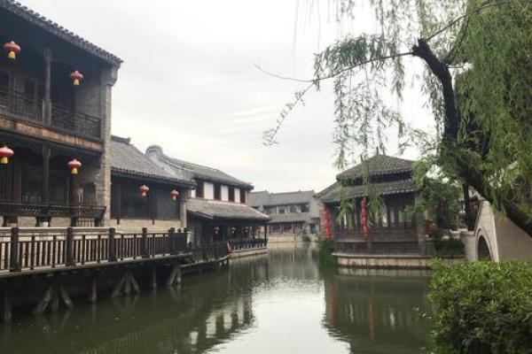 山东台儿庄马先生算命