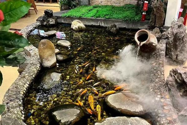 房子门口可以有鱼池吗风水