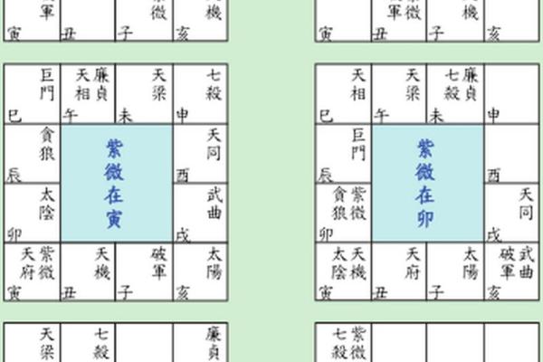 紫微斗数命宫在寅紫薇天府