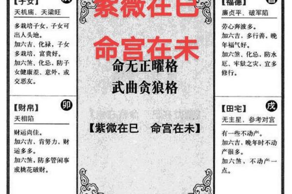 紫微斗数命宫在寅紫薇天府
