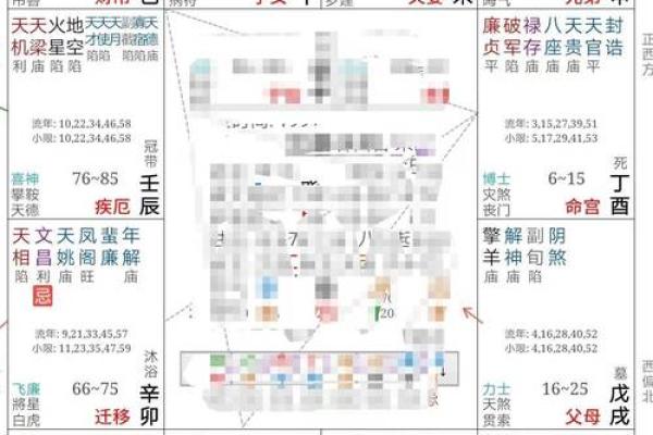 循环忌紫薇斗数