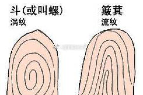 农村老人常说，手上簸箕和斗的数量能决定人的运！是真的吗？