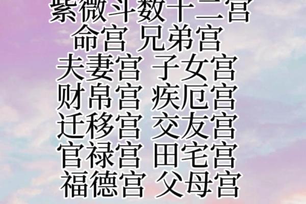 紫薇斗数真传