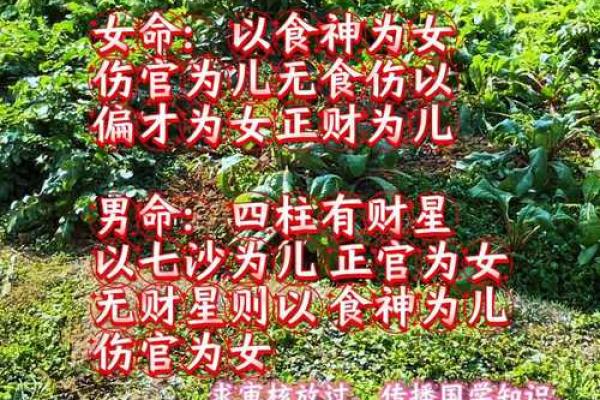 八字全阴女