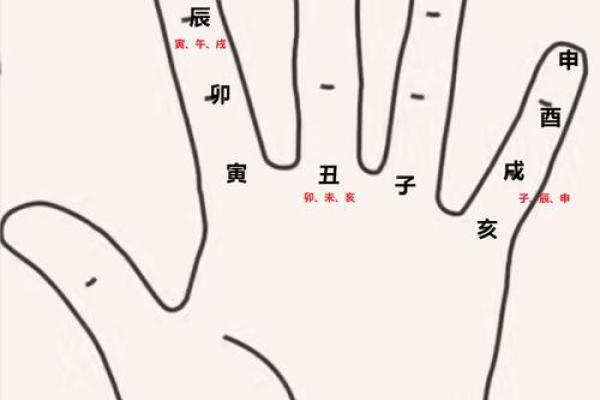 紫薇斗数大限大子女