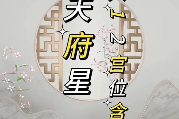 紫微斗数之子女宫与诸星，天府星在子女宫是什么意思？
