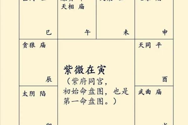 紫薇斗数里的宫干是什么意思