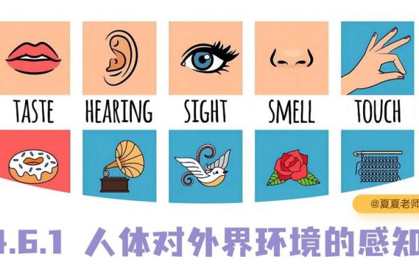 知识：人体如何感知影响风水的