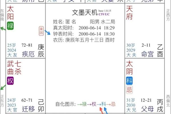 皮肤白紫薇斗数