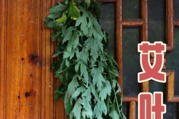 风水解答为什么不应该将艾草作为礼物送给别人