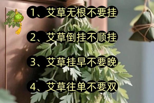 风水解答为什么不应该将艾草作为礼物送给别人