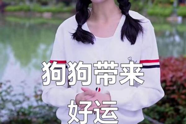 养宠物也是要讲究风水的 养宠物也是要讲究风水的